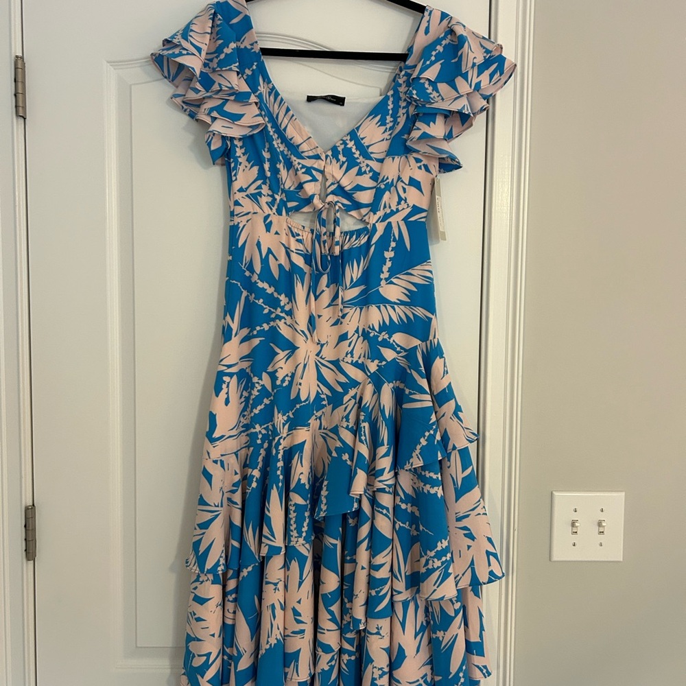 Blue and Pink Floral Ruffle Dress